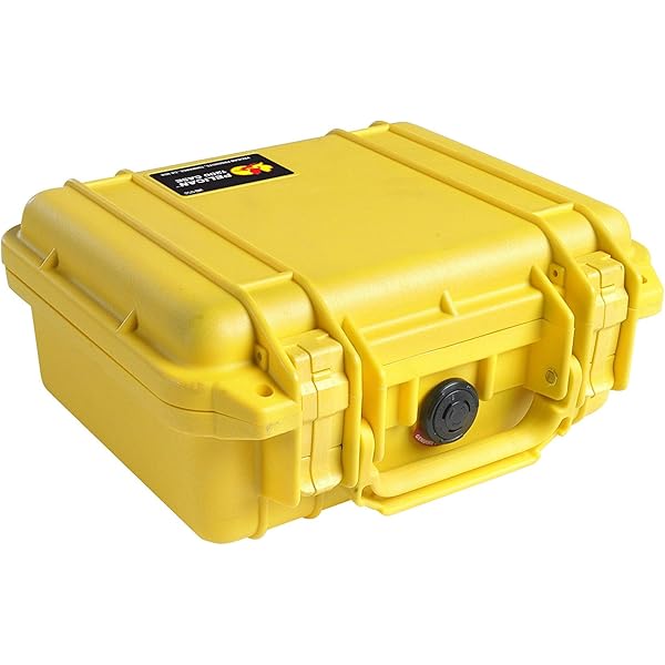 Amazon.com : Pelican Protector 1120 Case by ColorCase - Orange